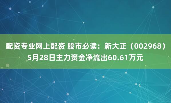 配资专业网上配资 股市必读：新大正（002968）5月28日主力资金净流出60.61万元