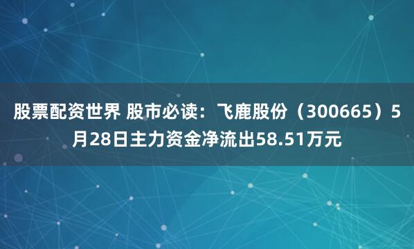 股票配资世界 股市必读：飞鹿股份（300665）5月28日主力资金净流出58.51万元